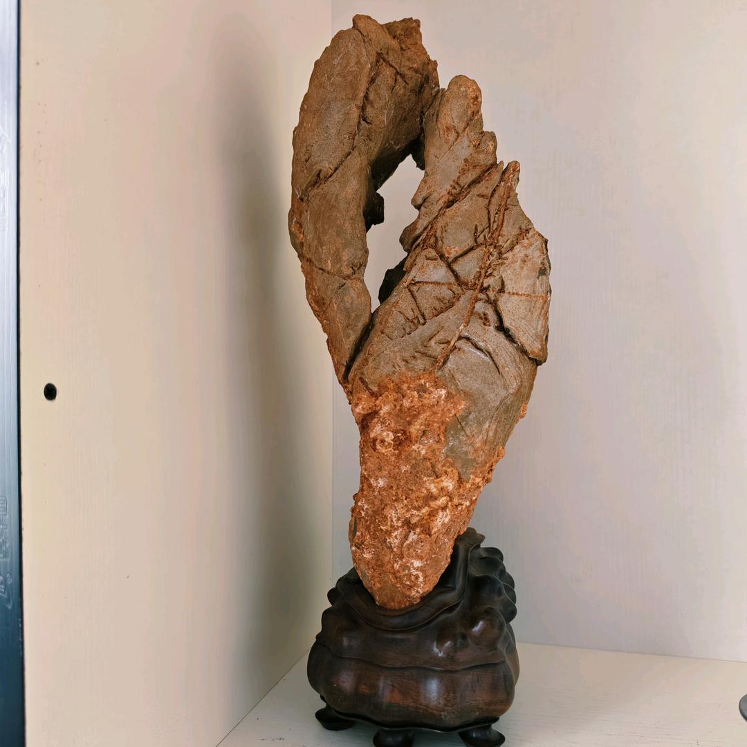 石农放漏直播间