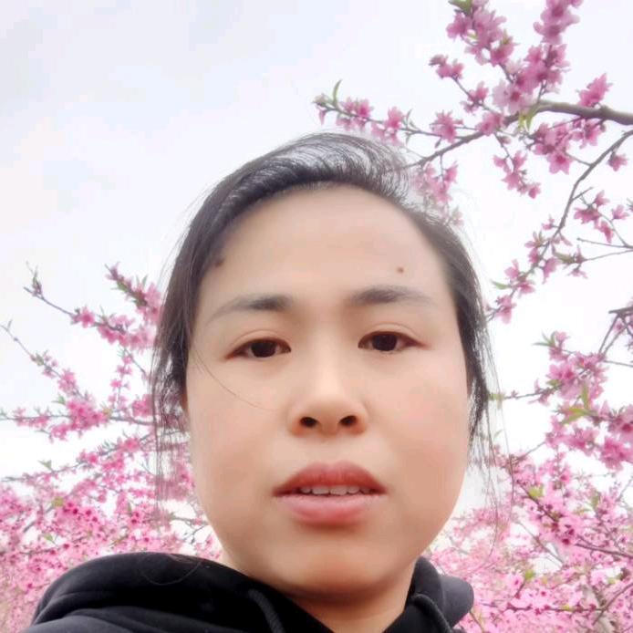 似锦年华