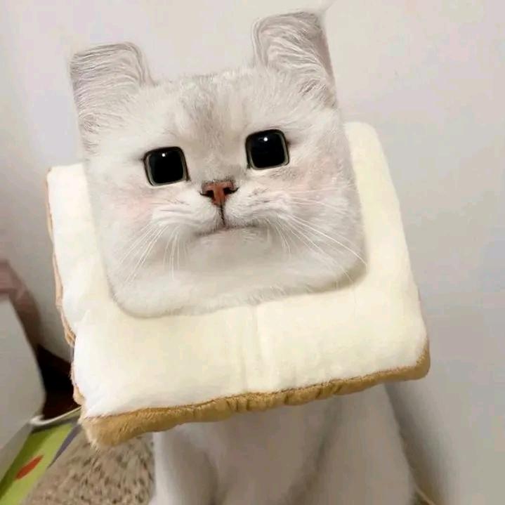 妖孽得道成仙