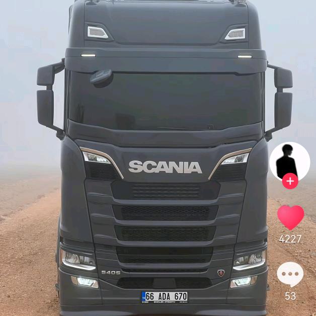 ༗𓄂ༀ𓆃 黑森林。