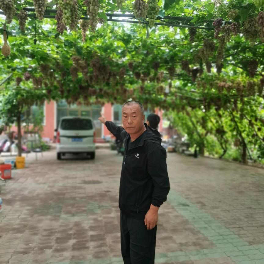 长白参王