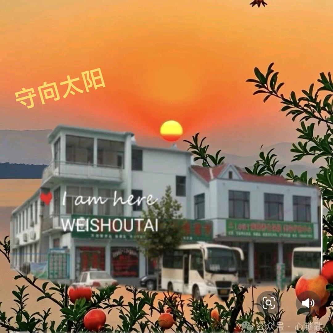 守向太阳