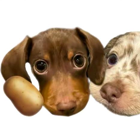 妈妈说只要名字够长就有傻子跟着念