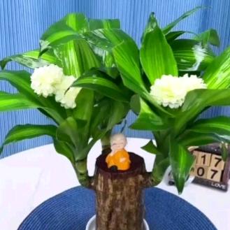 ☘️平安喜樂(❁´◡`❁)萬事順遂🍀