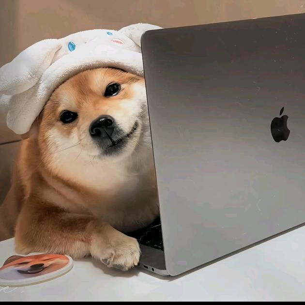 葵花籽味的雪糕