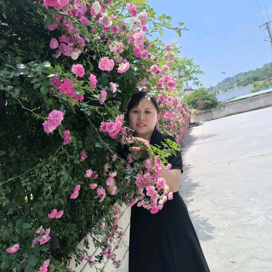 毕毕