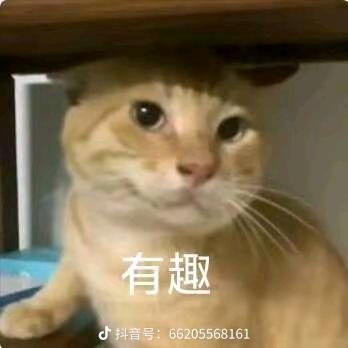 屋嫁器