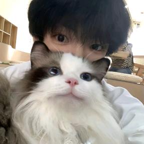 熊猫.