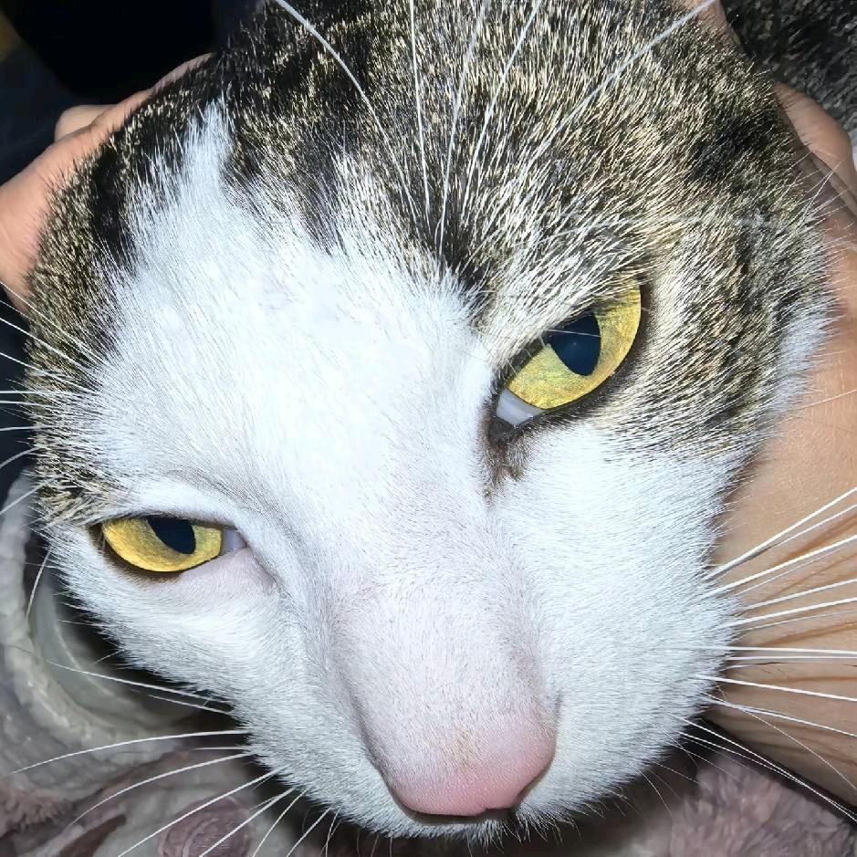 看见我喊我做眼保健操