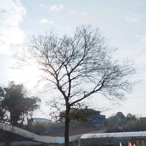 随便取个名