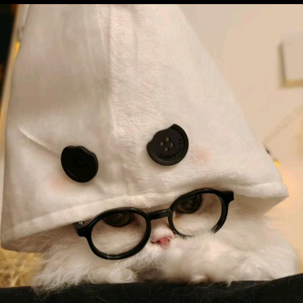丫丫🐑