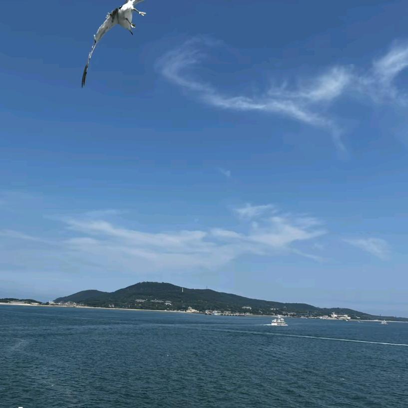 开心快乐每一天