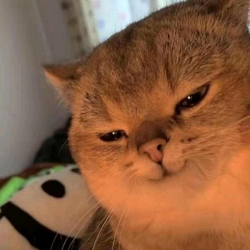 西红柿