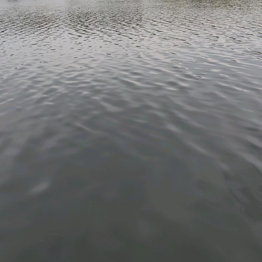 酷爱