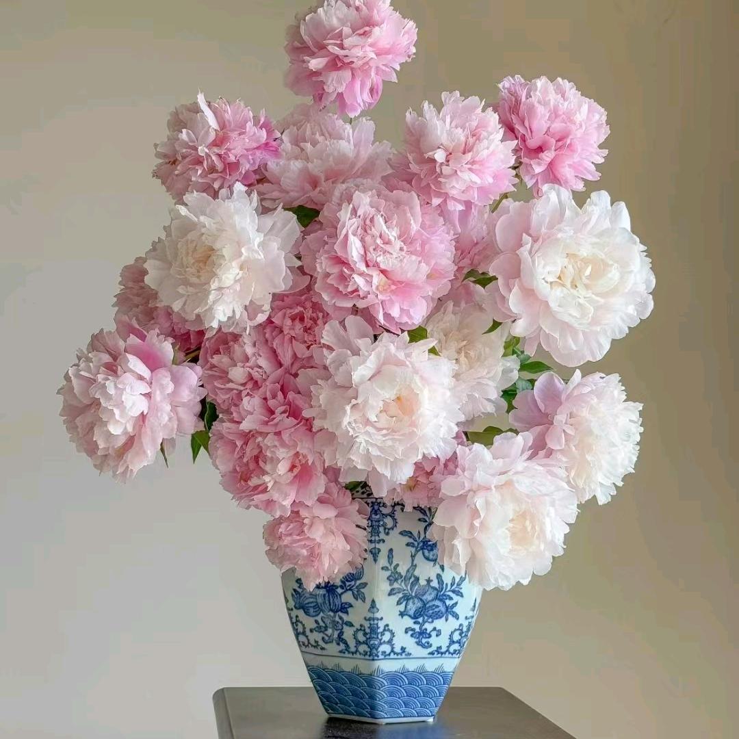 春暖花开&