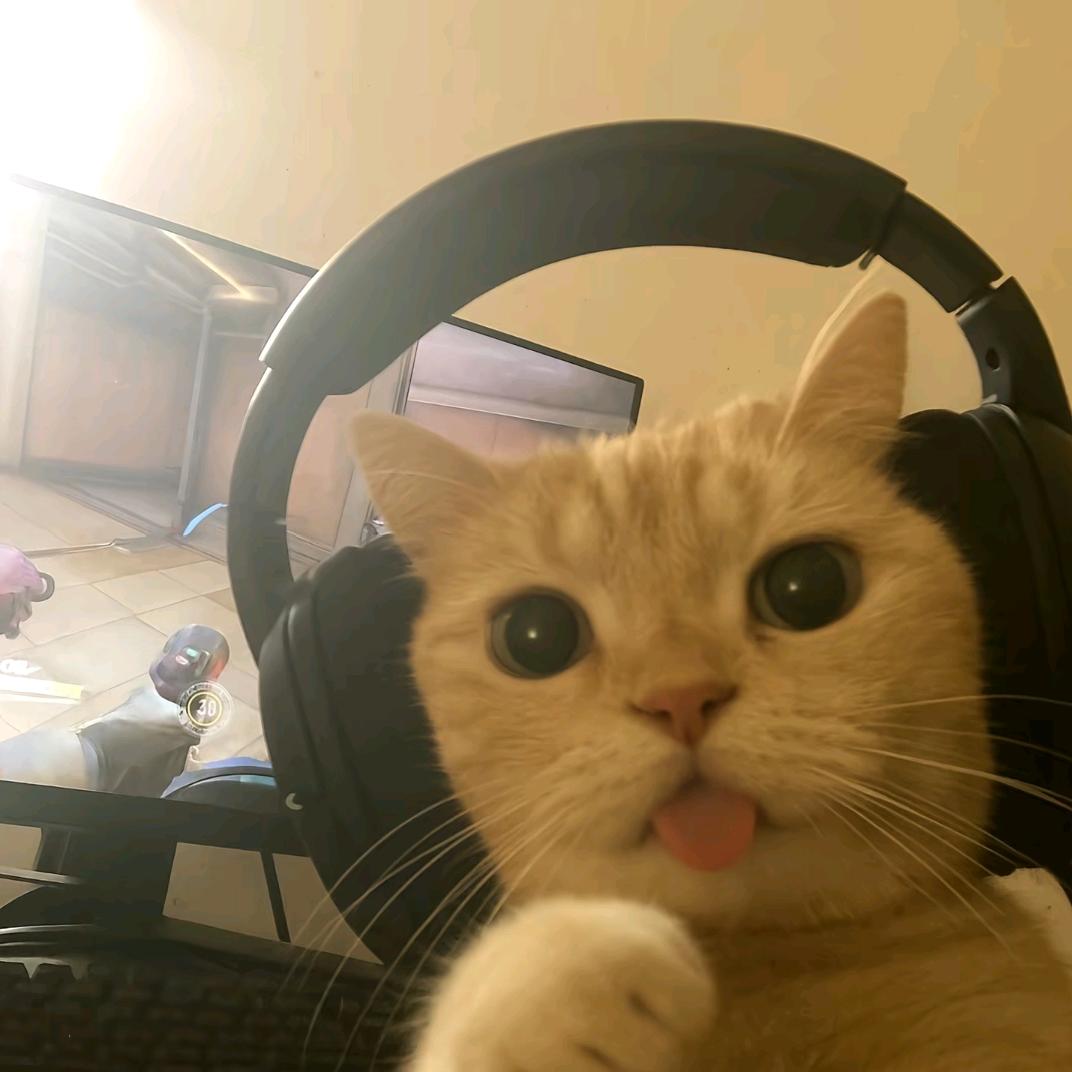 瑶瑶（三角洲行动）