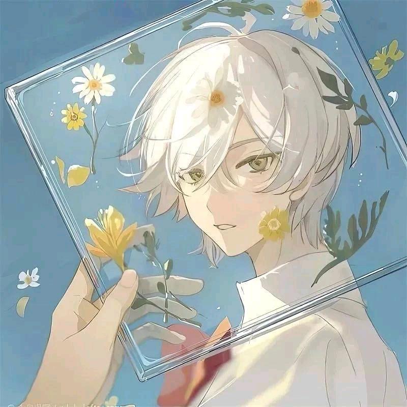 白衣剑士凉枍（互关）