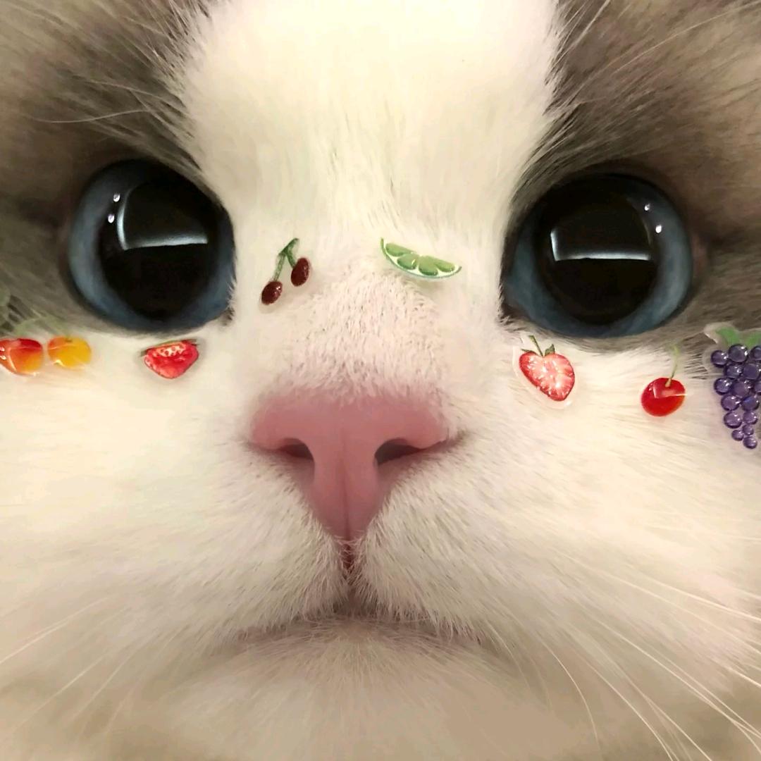 ゞ玥₊⁺
