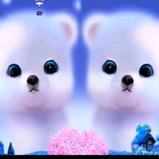 @张上明珠，吴可替代@