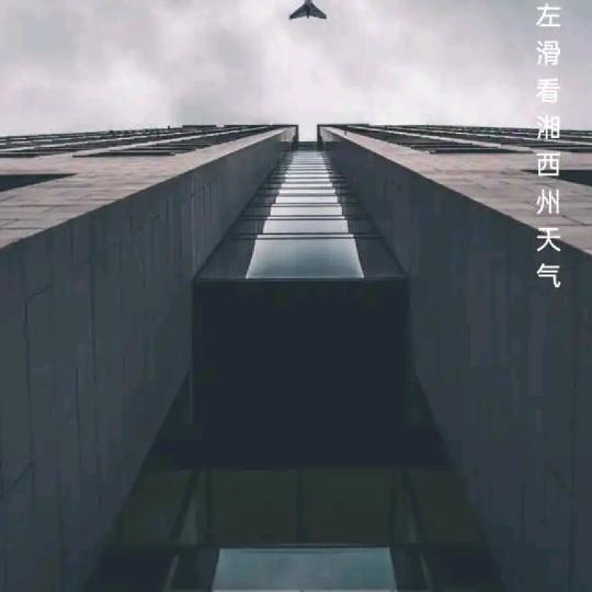 石头剪刀布