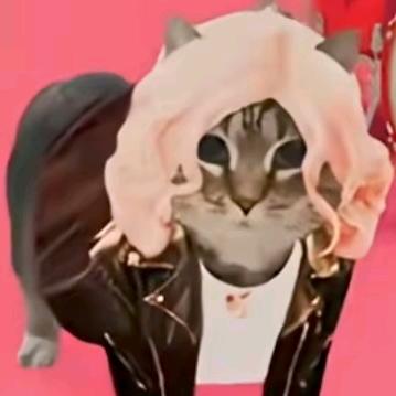 Kira神采奕奕. <钱1江>💕