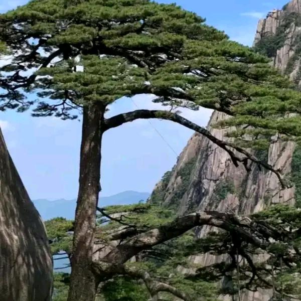 火神