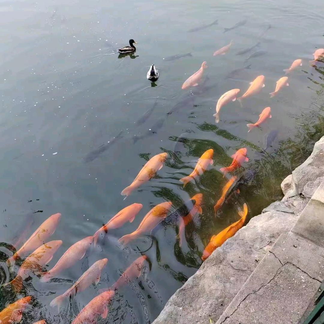 全振