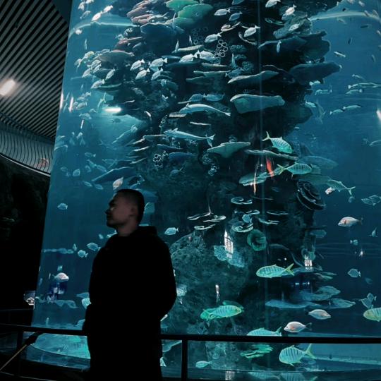 人海浮沉