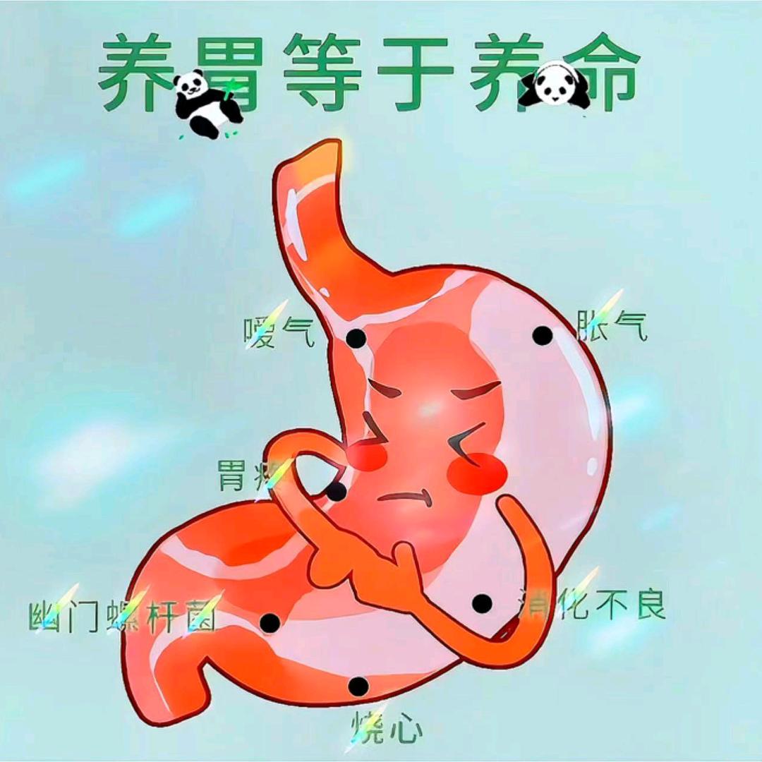 雪雪讲养胃