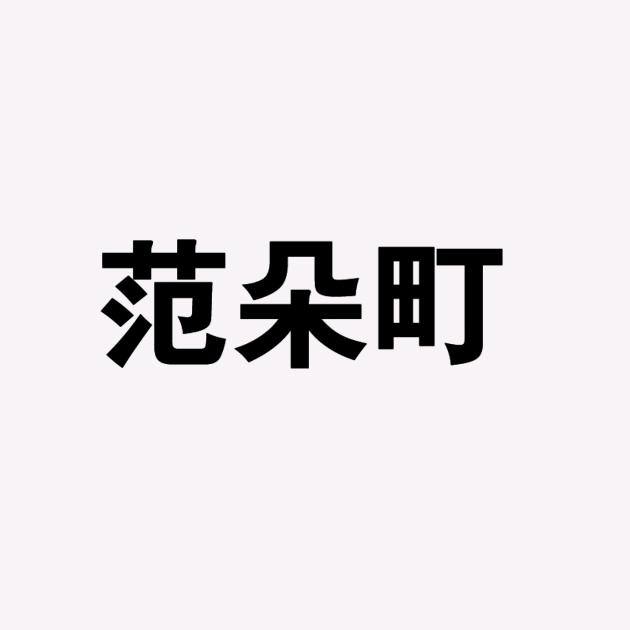 范朵町服饰女装专卖店