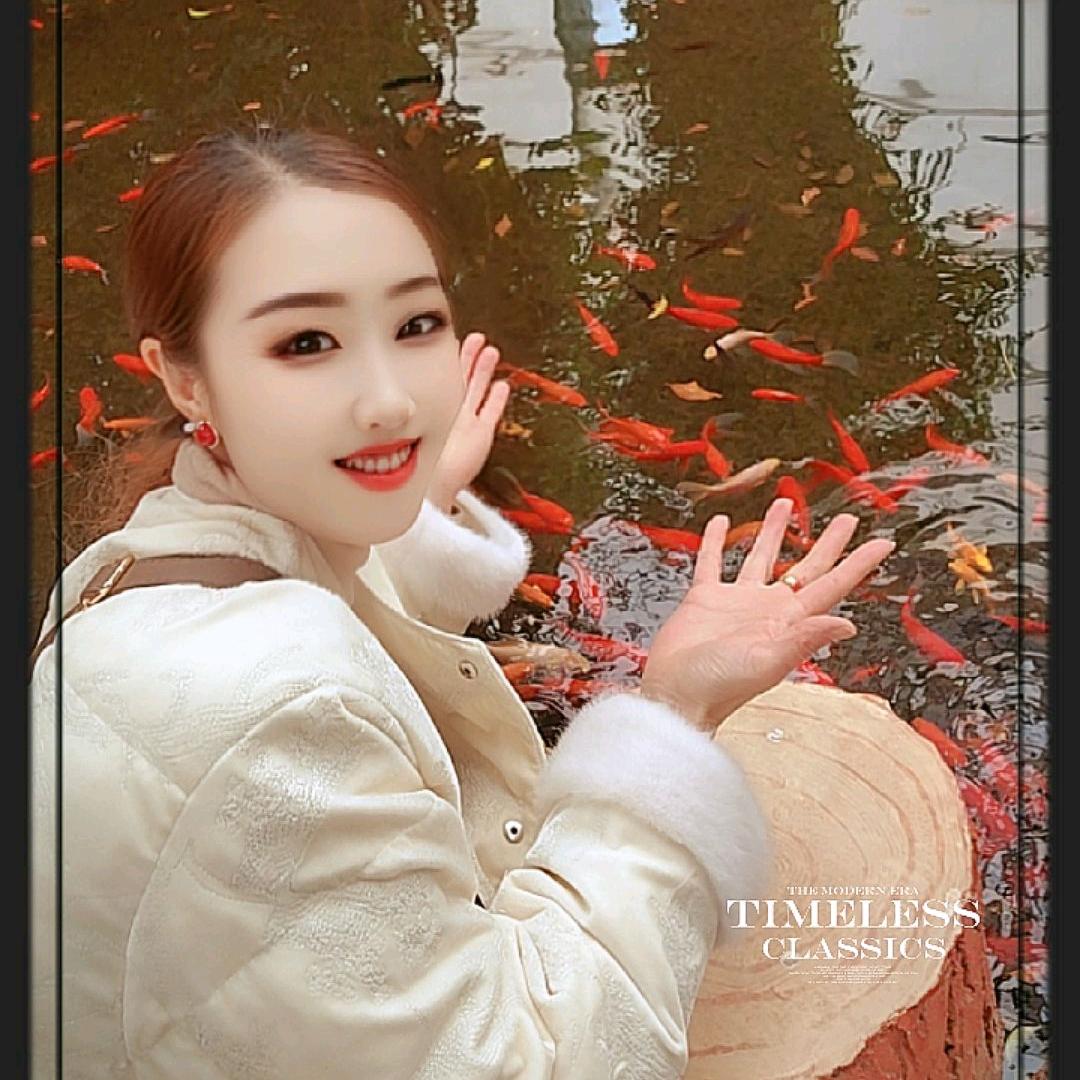 金鑫金(首播筹备中)