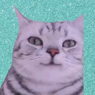 我不是猫meme