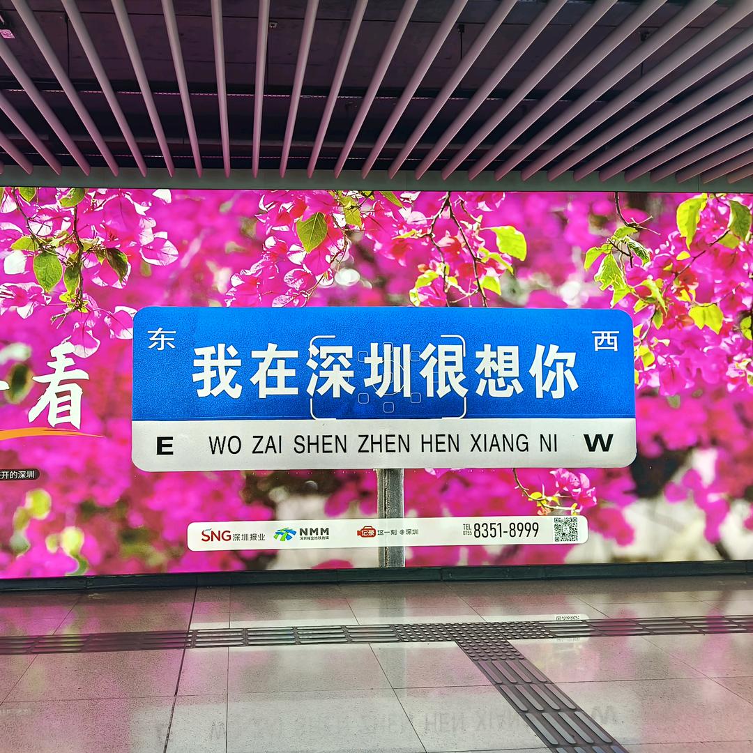 不见，不念🍀🍀