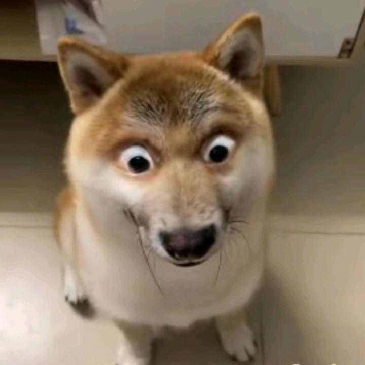 云游四海