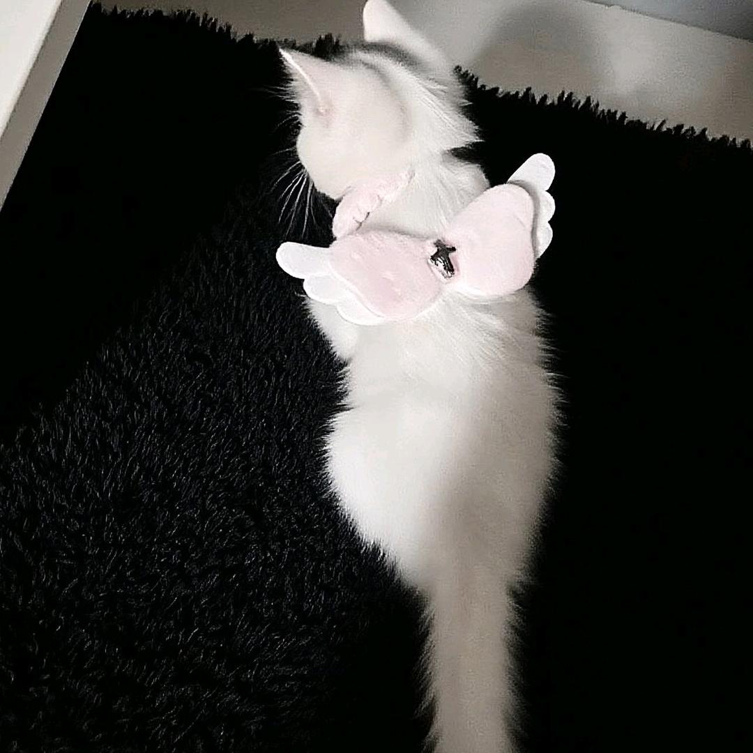 吹海風.