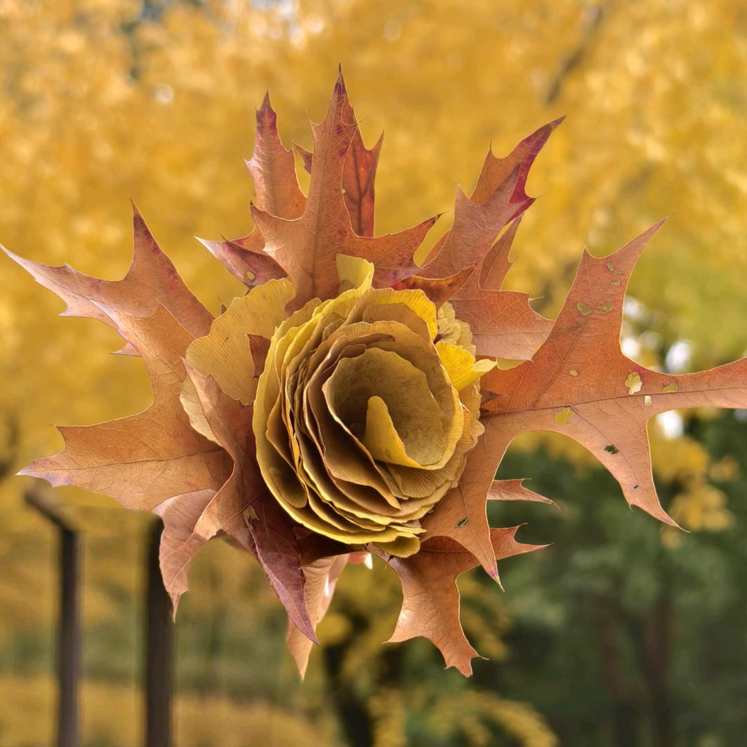 微笑前行