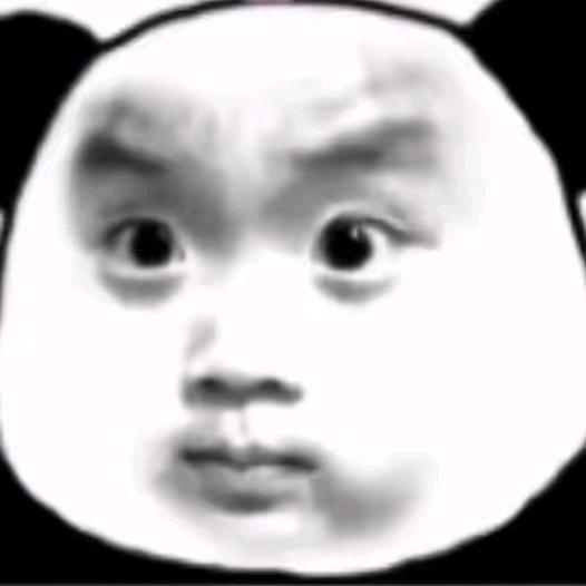 金冠大熊猫             🪳