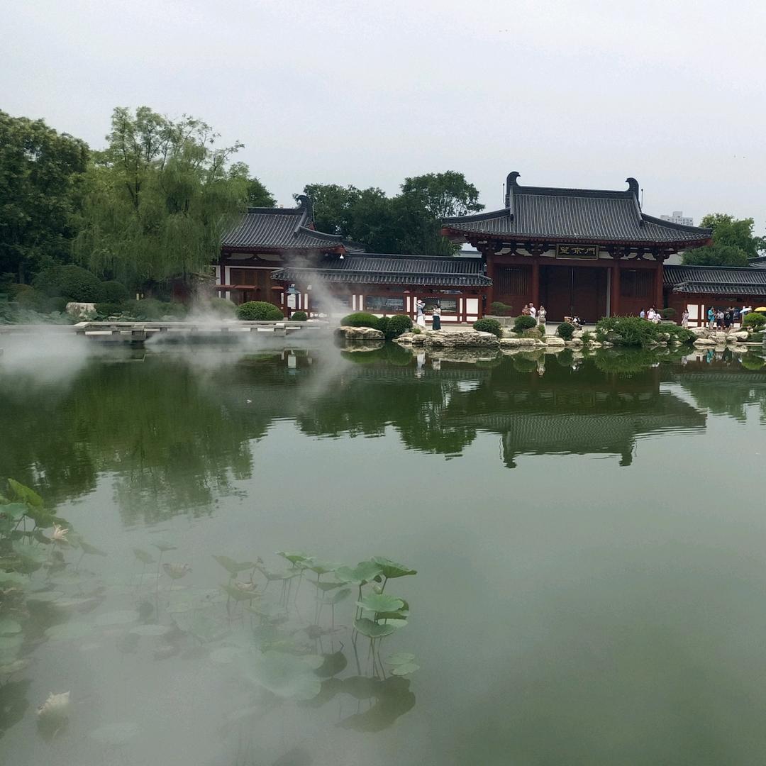 领悟人生