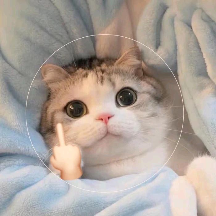 今天要吃点什么呢