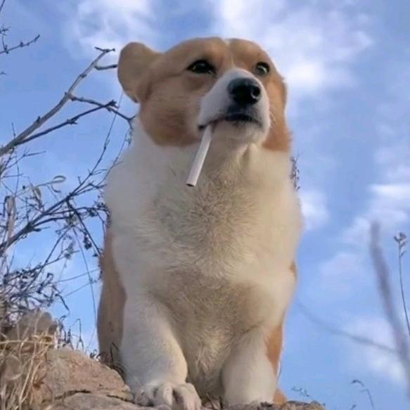 她胃不好总吃辣