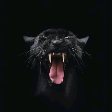 巨婴火机贴章「豹子工作室」