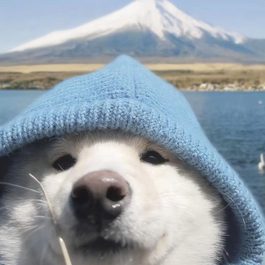 墨颜