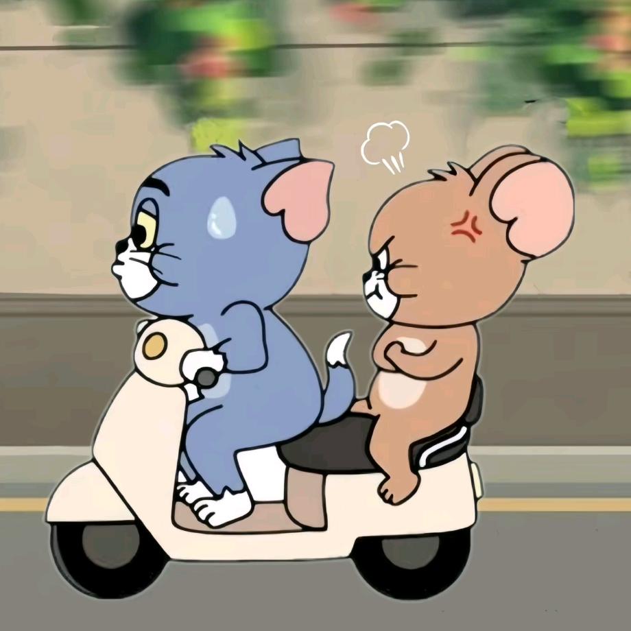 猪王🐽