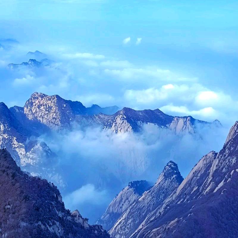 青语咨询