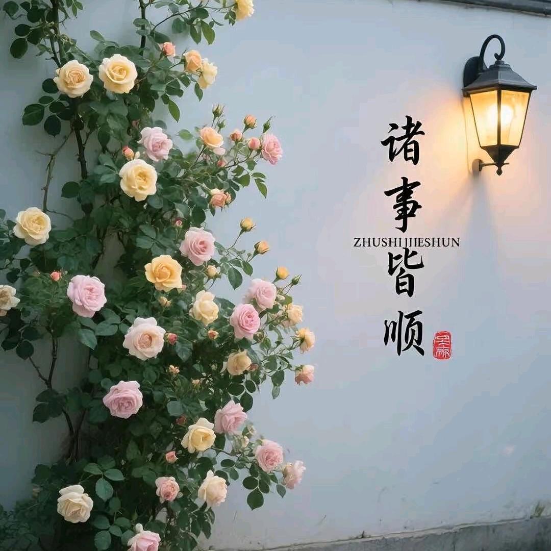 悦己美学 金鹿商城店