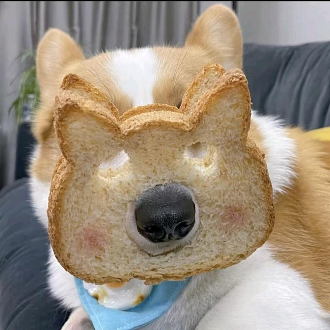 一口一个毛团子