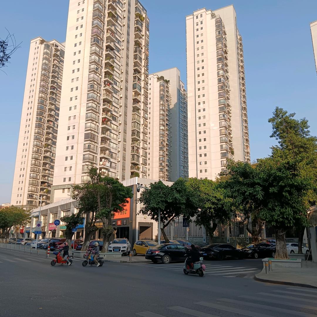 我的未来不是梦