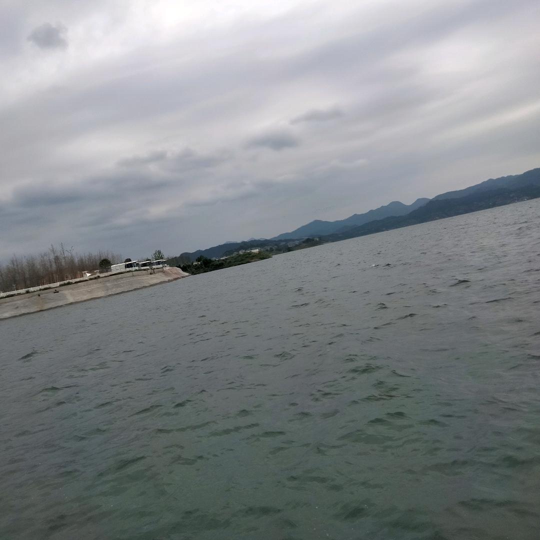 伶俐的奇迹