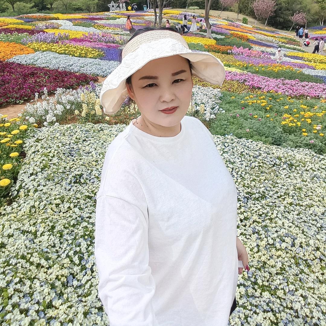 龙城城市摆渡人，