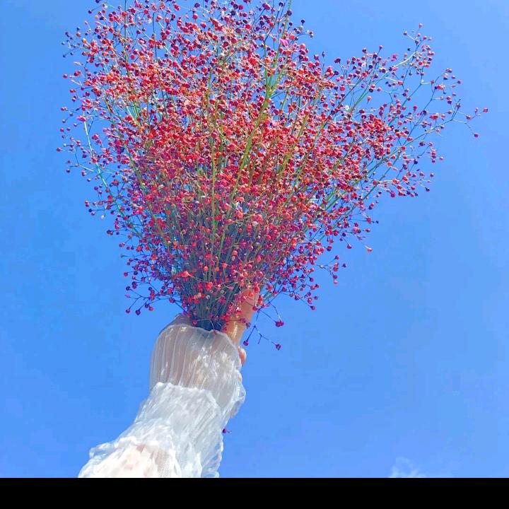凌云壮志
